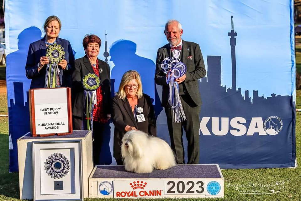 KUSA National Puppy