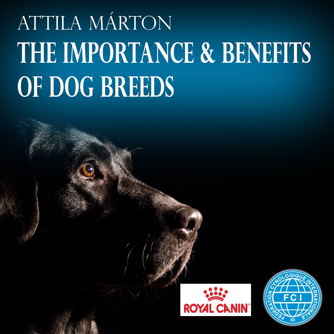 500420482 1124755743016239 5964477010981277390 n