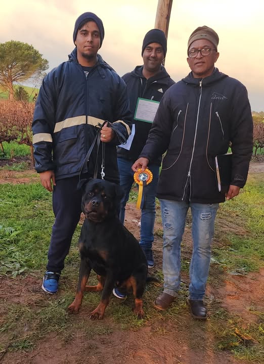 Malik Davids dog (002)