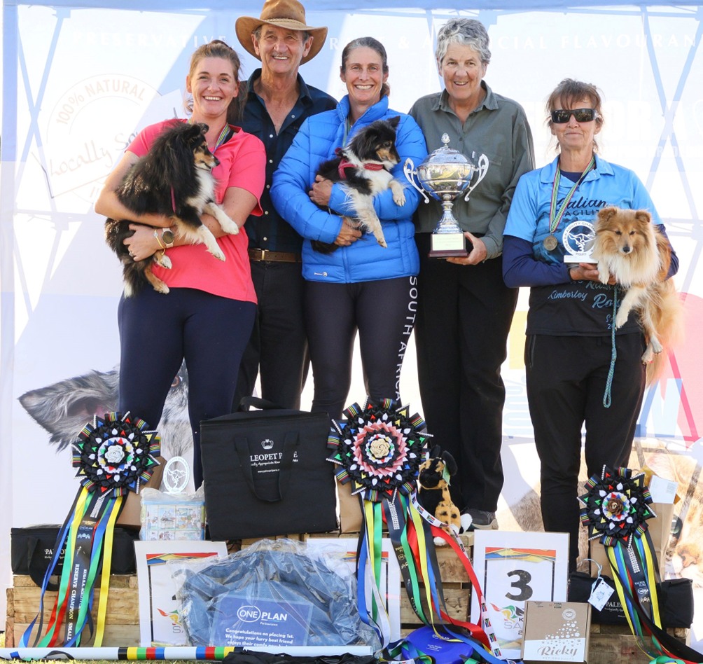 494560415 1123947386430408 8721142852027205343 n