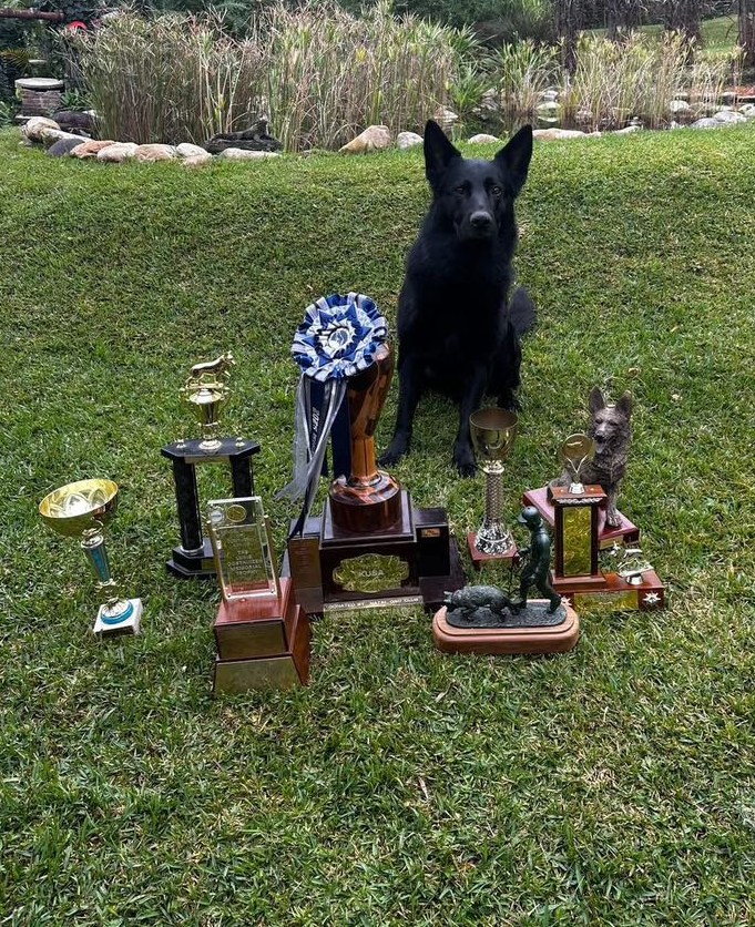 506601389 1123955403096273 5396914076545010183 n