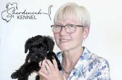 SHERDENICH (Miniature Schnauzer)