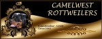 CAMELWEST (Rottweiler) CAMELWEST (Rottweiler)