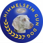 HIMMELSEIN (Weimaraner)