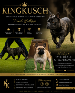 KINGKUSCH (French Bulldog)